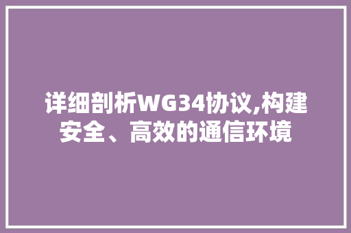 详细剖析WG34协议,构建安全、高效的通信环境
