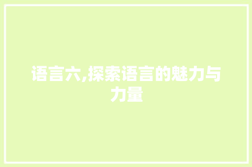 语言六,探索语言的魅力与力量