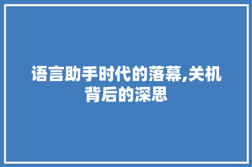 语言助手时代的落幕,关机背后的深思