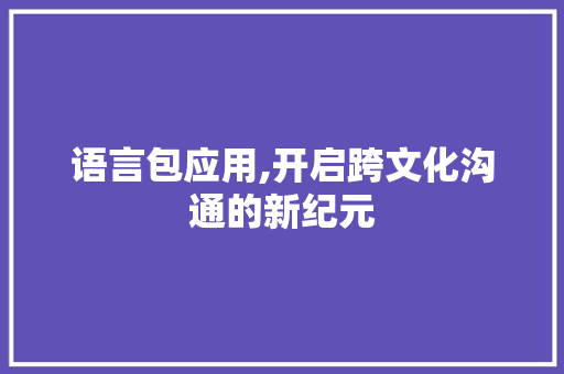 语言包应用,开启跨文化沟通的新纪元