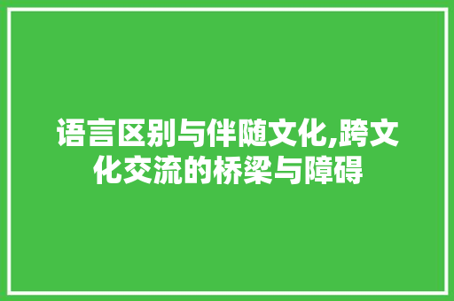 语言区别与伴随文化,跨文化交流的桥梁与障碍
