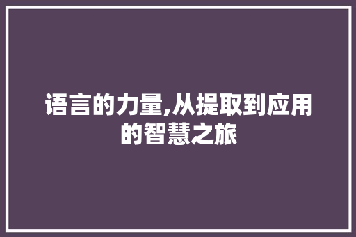 语言的力量,从提取到应用的智慧之旅