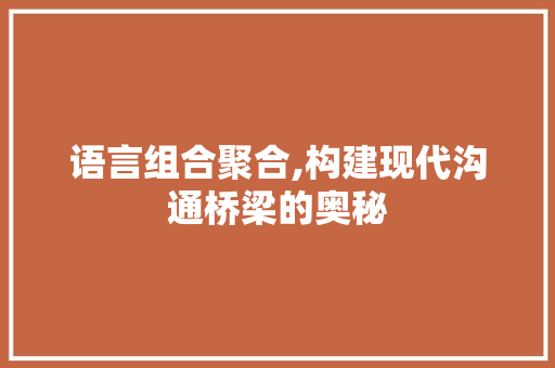 语言组合聚合,构建现代沟通桥梁的奥秘