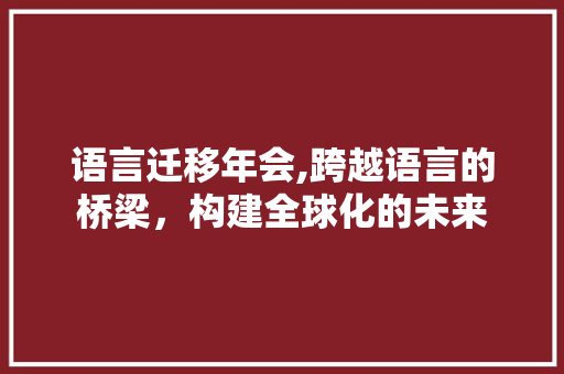 语言迁移年会,跨越语言的桥梁，构建全球化的未来