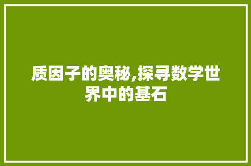 质因子的奥秘,探寻数学世界中的基石