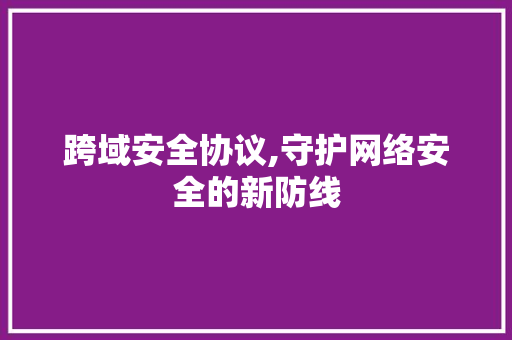 跨域安全协议,守护网络安全的新防线 Web前端