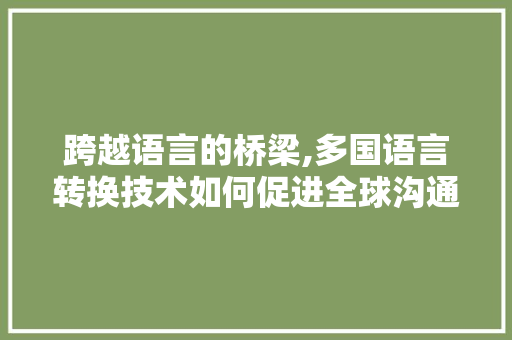 跨越语言的桥梁,多国语言转换技术如何促进全球沟通与合作