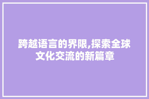 跨越语言的界限,探索全球文化交流的新篇章