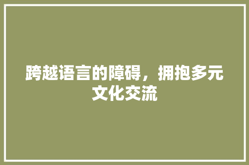 跨越语言的障碍，拥抱多元文化交流
