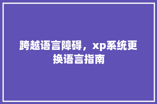 跨越语言障碍，xp系统更换语言指南 服务器/数据库