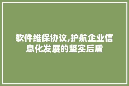 软件维保协议,护航企业信息化发展的坚实后盾