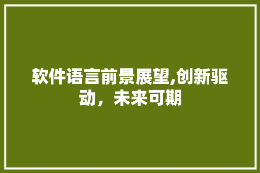 软件语言前景展望,创新驱动，未来可期