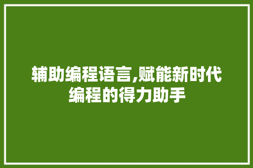 辅助编程语言,赋能新时代编程的得力助手