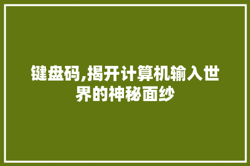 键盘码,揭开计算机输入世界的神秘面纱
