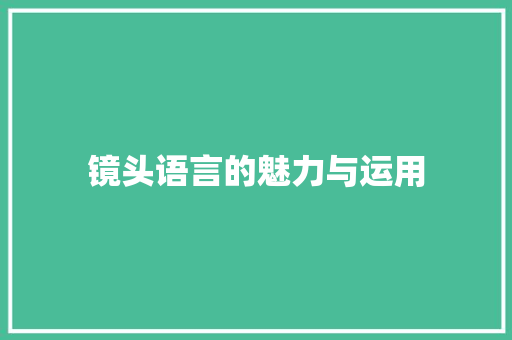镜头语言的魅力与运用