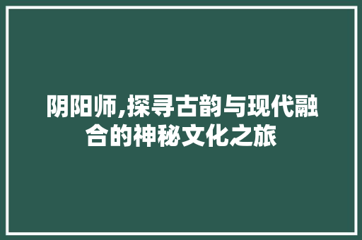 阴阳师,探寻古韵与现代融合的神秘文化之旅