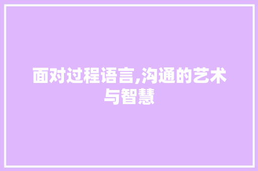 面对过程语言,沟通的艺术与智慧