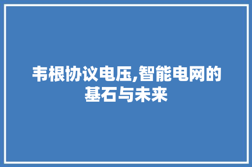 韦根协议电压,智能电网的基石与未来