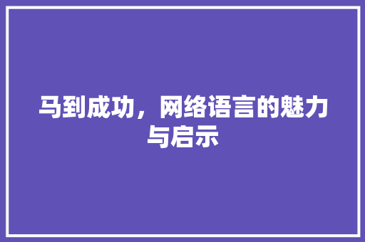 马到成功，网络语言的魅力与启示