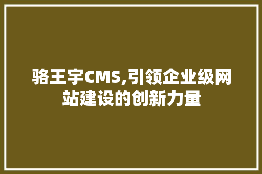 骆王宇CMS,引领企业级网站建设的创新力量