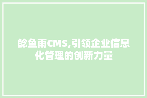 鲶鱼雨CMS,引领企业信息化管理的创新力量 Web前端