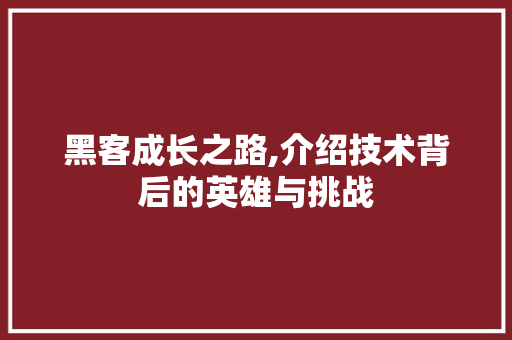黑客成长之路,介绍技术背后的英雄与挑战 友链在线