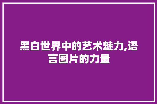 黑白世界中的艺术魅力,语言图片的力量