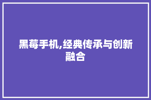 黑莓手机,经典传承与创新融合