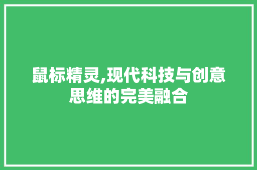 鼠标精灵,现代科技与创意思维的完美融合