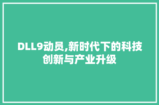 DLL9动员,新时代下的科技创新与产业升级 Web前端