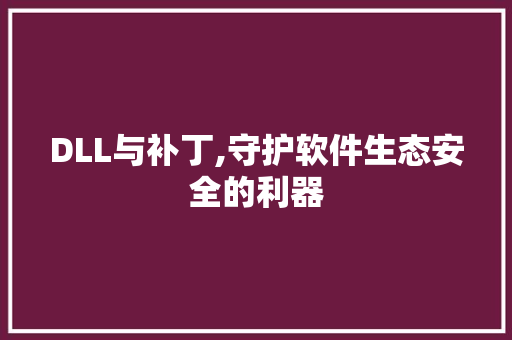DLL与补丁,守护软件生态安全的利器