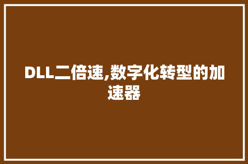 DLL二倍速,数字化转型的加速器