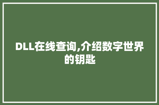 DLL在线查询,介绍数字世界的钥匙 SEO教程
