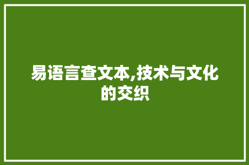 易语言查文本,技术与文化的交织