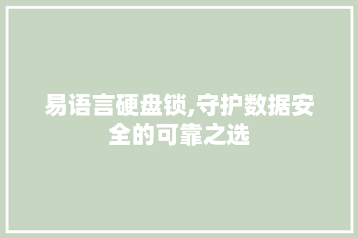 易语言硬盘锁,守护数据安全的可靠之选 SEO教程