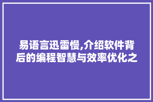 易语言迅雷慢,介绍软件背后的编程智慧与效率优化之路