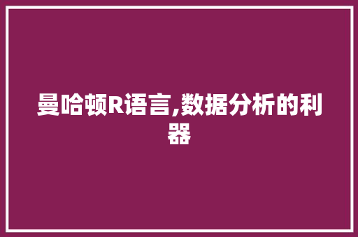 曼哈顿R语言,数据分析的利器
