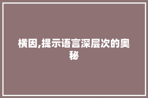 横因,提示语言深层次的奥秘