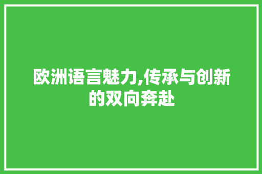 欧洲语言魅力,传承与创新的双向奔赴