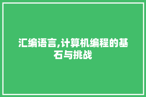 汇编语言,计算机编程的基石与挑战