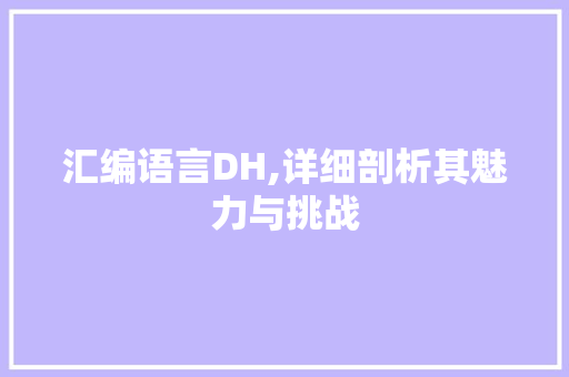 汇编语言DH,详细剖析其魅力与挑战