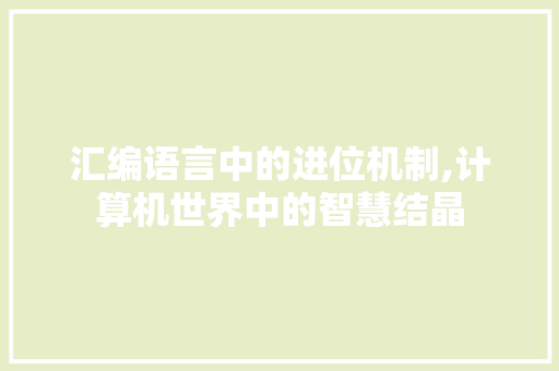 汇编语言中的进位机制,计算机世界中的智慧结晶 服务器/数据库