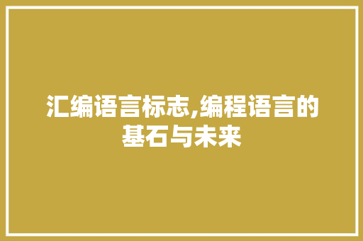 汇编语言标志,编程语言的基石与未来