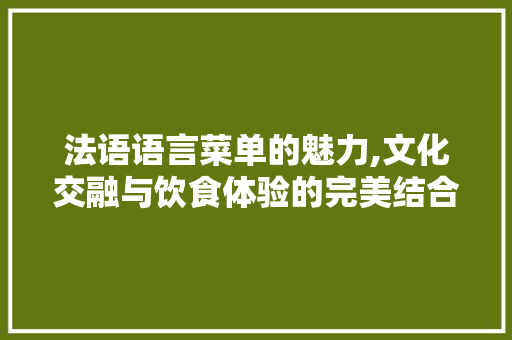 法语语言菜单的魅力,文化交融与饮食体验的完美结合 建站教程