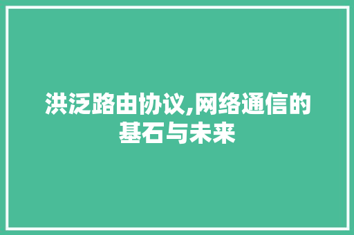 洪泛路由协议,网络通信的基石与未来
