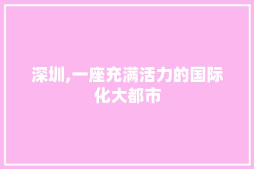 深圳,一座充满活力的国际化大都市 服务器/数据库