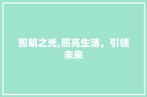 照明之光,照亮生活，引领未来