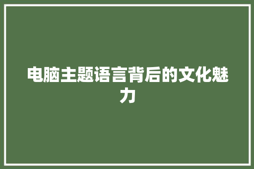 电脑主题语言背后的文化魅力