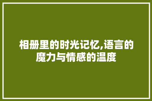 相册里的时光记忆,语言的魔力与情感的温度