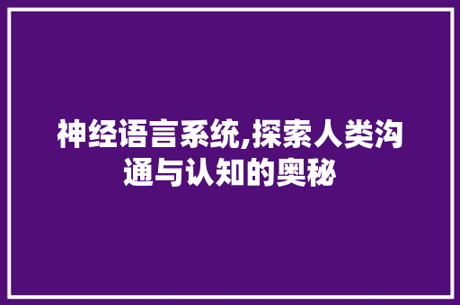 神经语言系统,探索人类沟通与认知的奥秘 Web前端